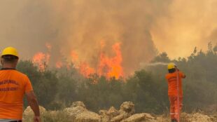 Անթալիան՝ կրակի ճիրաններում. Թուրքիայում զանգվածային տարհանումներ են