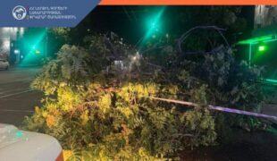 МВД РА: В результате сильного ветра зарегистрировано 33 чрезвычайных происшествия