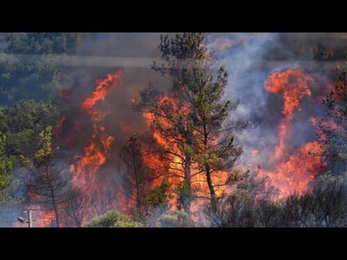 Пожар, распространившийся в Латакии, находится далеко от армянской общины: ABCmedia побеседовал с Аво Карпушяном