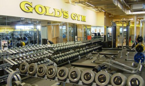 Следственные действия в спортивном клубе «Gold Gym»