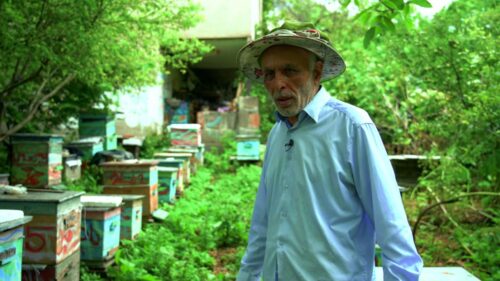 Արցախը տալը հավասար է Երևանը տալուն, ազգը հաշտ չէ այս իրողությանը․ Դսեղի բնակիչ