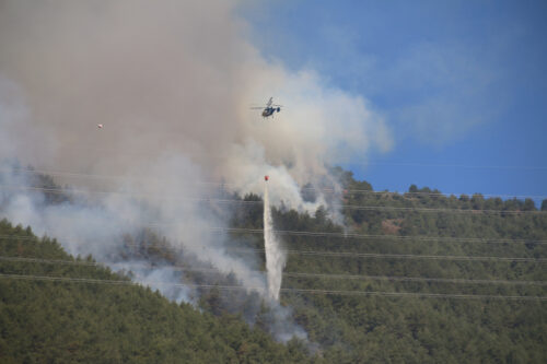 Թուրքիայում 5 օրում բռնկվել է 342 անտառային հրդեհ