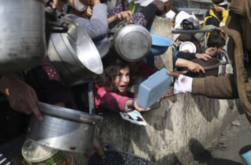 Over 100 aid agencies warn ‘mass starvation’ risk in Gaza