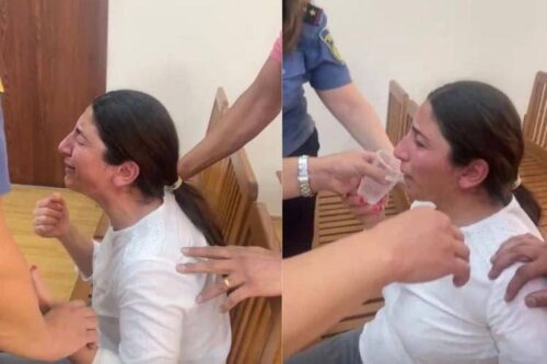 Задержанная вместе с ребёнком Лиана Арутюнян освобождена из-под стражи