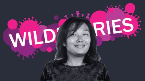 Wildberries founder named Russia’s wealthiest woman