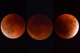 ‘Blood moon’ from around the world: Why did the moon turn ‘red’?