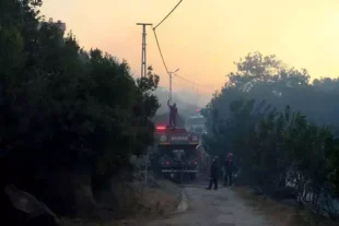 В Анталии лесной пожар приближается к отелям и жилым домам
