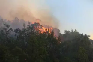 В Анталии лесной пожар приближается к отелям и жилым домам