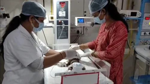Newborn pulled from soil in India fights for life