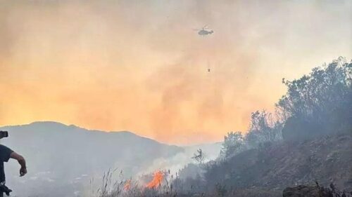 В Анталии лесной пожар приближается к отелям и жилым домам