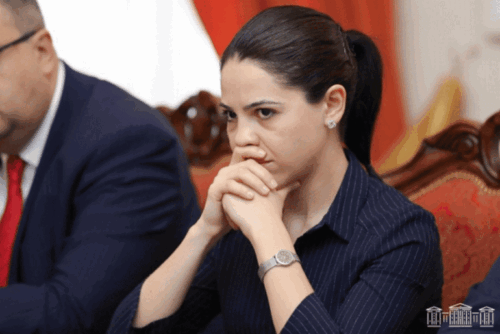 Татевик Айрапетян: У МИД Армении больше нет оснований скрывать компромиссные предложения по урегулированию, выдвинутые Минской группой ОБСЕ