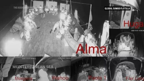 Mass protests break out worldwide as Israel seizes 13 aid boats to Gaza