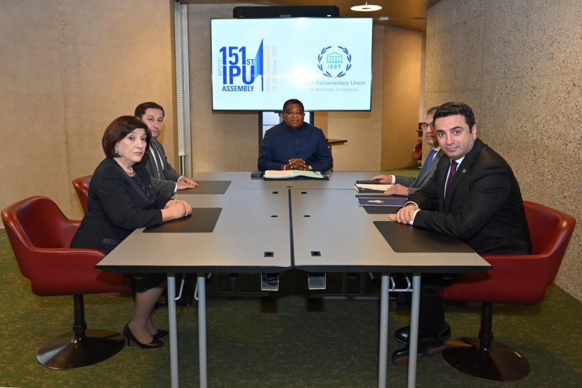 Sahiba Gafarova on meeting with Alen Simonyan in Geneva Sahiba Gafarova on meeting with Alen Simonyan in Geneva