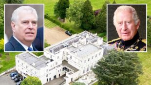 Մեծ Բրիտանիայի թագավորը զրկել է եղբորը թագավորական տիտղոսներից   