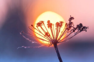 Осадки ниже нормы на Южном Кавказе в течение следующих трёх месяцев