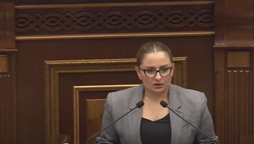Если хотите разрушить государство, назначайте на важные должности людей, которые к нему не имеют никакого отношения: Кристине Варданян о кандидате от ГД