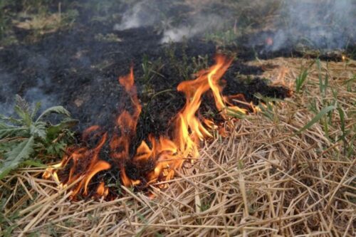 Минздрав: Дым от сжигания листьев может обострить бронхиальную астму