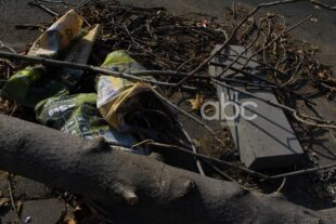 Երևանում շուրջ 10 հազար վթարային ծառ ենթակա է հատման. ՀՈԱԿ-ի պարզաբանումը