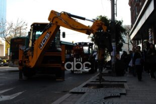 Երևանում շուրջ 10 հազար վթարային ծառ ենթակա է հատման. ՀՈԱԿ-ի պարզաբանումը