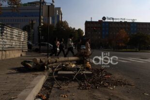 Երևանում շուրջ 10 հազար վթարային ծառ ենթակա է հատման. ՀՈԱԿ-ի պարզաբանումը
