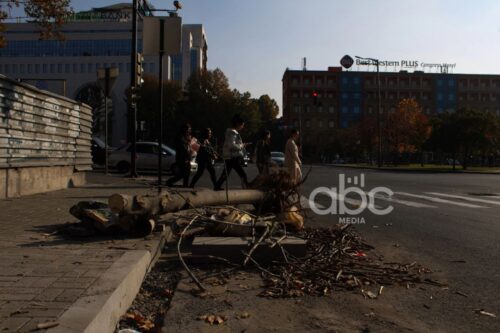 В Ереване под угрозой вырубки около 10 000 деревьев: разъяснение общественной организации