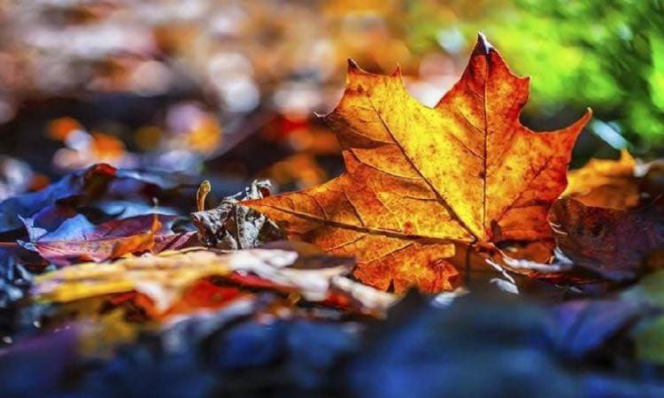 Օդի ջերմաստիճանը կբարձրանա Օդի ջերմաստիճանը կբարձրանա