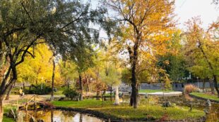 Լոռիում, Տավուշում և Սյունիքում ավելի տաք կլինի, քան Երևանում․ ի՞նչ եղանակ է սպասվում առաջիկա օրերին