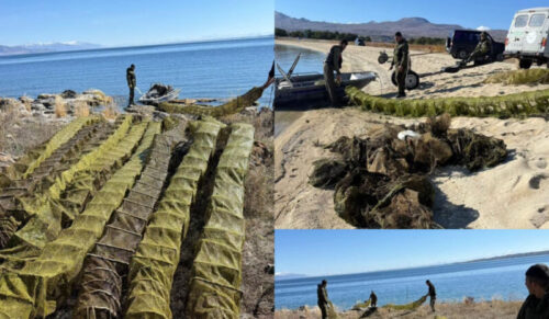 Սևանա լճից դուրս է բերվել ապօրինի տեղադրված 346 խեցգետնաորսիչ և 90 ձկնորսական ցանց