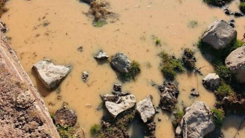 Питьевая вода загрязнена, возбуждено административное дело