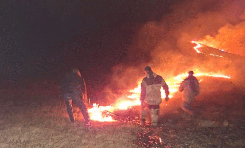 Пожары одновременно в нескольких регионах Армении: в тушении пожаров участвуют 1830 спасателей