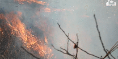 МВД РА: Все пожары потушены