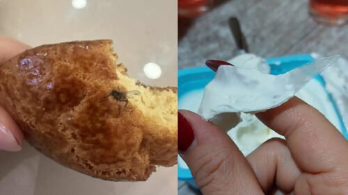 Муха в печенье, непонятный предмет в сыре: нарушены стандарты безопасности пищевых продуктов