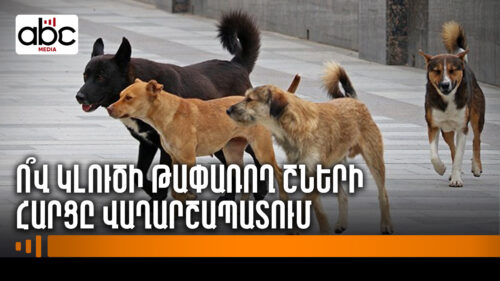 Գազազած շները Վաղարշապատի բնակիչների ամենամեծ վախն են