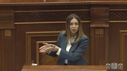 Միայն ստատուս գրելու համար «Ալֆա» ջոկատ ուղարկելը վնասում է այդ կառույցի հեղինակությունը․ Աննա Գրիգորյանը՝ ԱԱԾ փոխտնօրենին