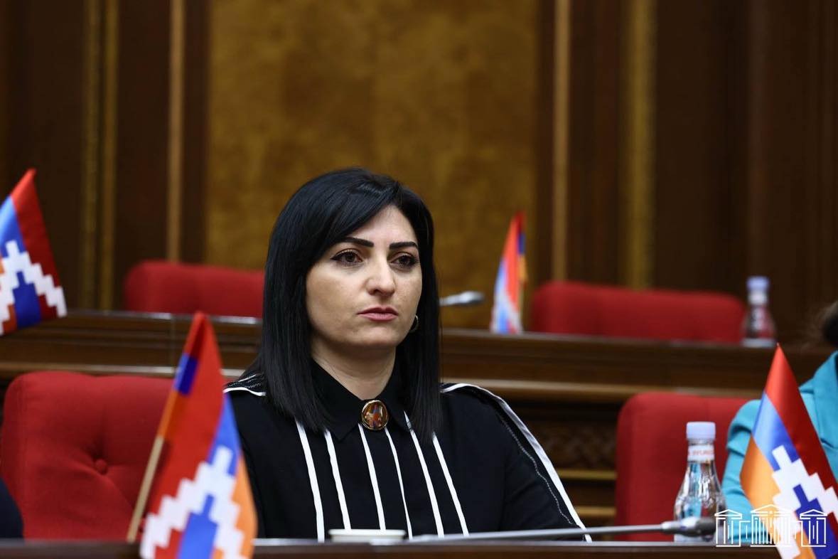 Հայաստանում մարդու իրավունքները չեն կարող լինել ընտրովի արդարադատության ու վարչական որոշումների զոհ․ Թովմասյան Հայաստանում մարդու իրավունքները չեն կարող լինել ընտրովի արդարադատության ու վարչական որոշումների զոհ․ Թովմասյան