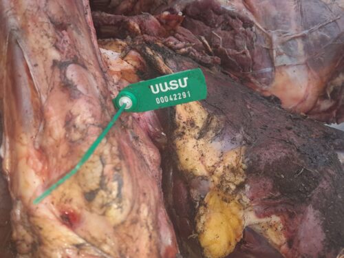 Инспекторы ГСБПП предотвратили продажу конины