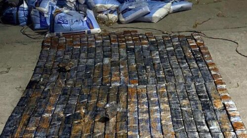 Մեղրիի անցակետում Թուրքիայի քաղաքացու բեռնատարից հայտնաբերվել է 161 կգ հերոին․ տարանցման փորձը կանխվել է