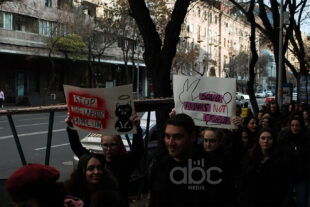 «Животные не говорят, мы — их голос»: марш за права животных в фоторепортаже