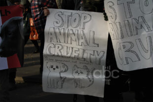 «Животные не говорят, мы — их голос»: марш за права животных в фоторепортаже