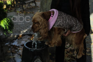 «Պուլպուլակների» երկիրը՝ ջրի համար պայքարող աշխարհի ֆոնին (ֆոտոշարք)