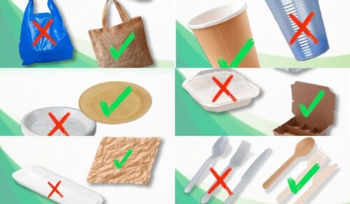 С 1 января Армения сократит использование одноразовых пластиковых изделий