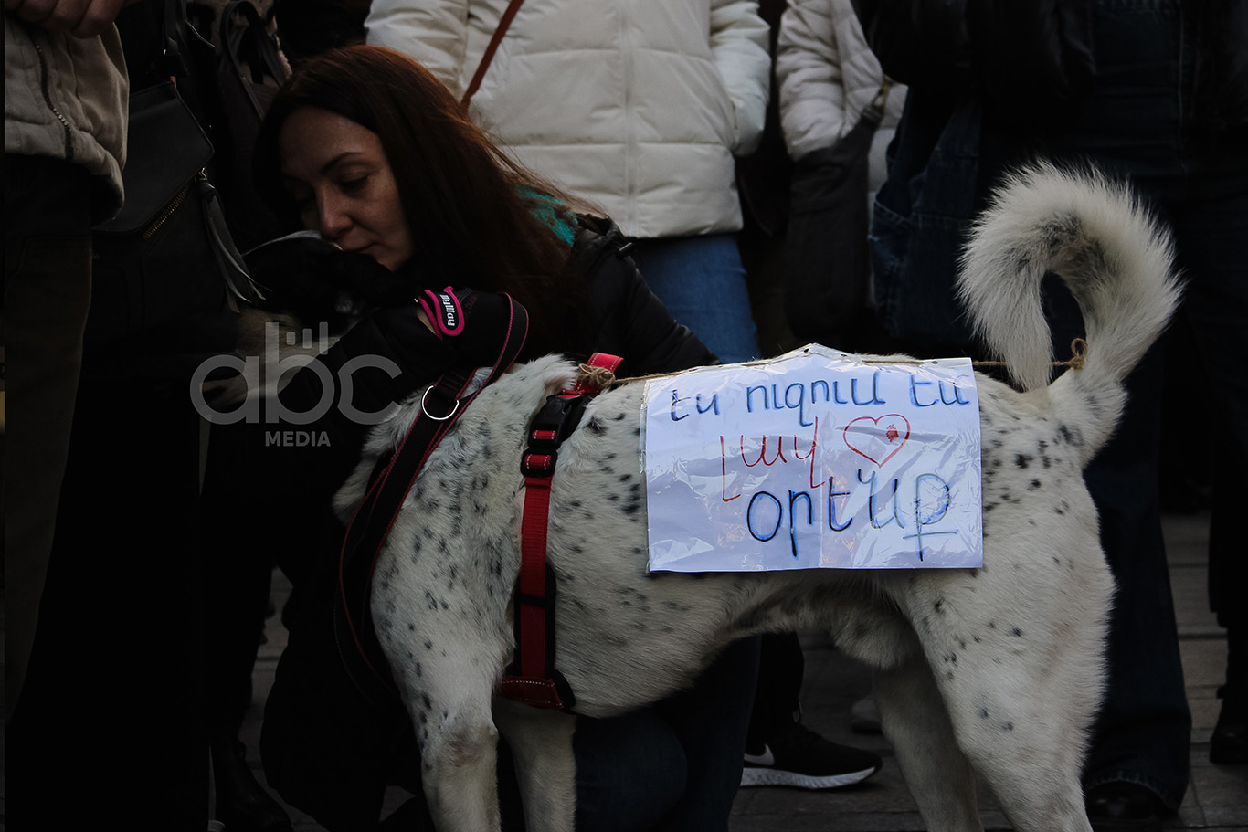«Животные не говорят, мы — их голос»: марш за права животных в фоторепортаже «Животные не говорят, мы — их голос»: марш за права животных в фоторепортаже