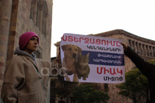 «Животные не говорят, мы — их голос»: марш за права животных в фоторепортаже