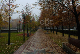 Երբ ձմեռն ուշանում է, աշունը` շարունակվում (ֆոտոշարք)