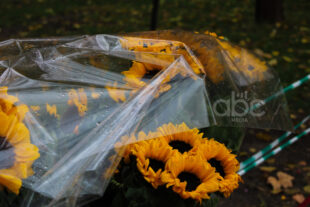 Երբ ձմեռն ուշանում է, աշունը` շարունակվում (ֆոտոշարք)