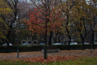 Երբ ձմեռն ուշանում է, աշունը` շարունակվում (ֆոտոշարք)