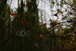 Երբ ձմեռն ուշանում է, աշունը` շարունակվում (ֆոտոշարք)