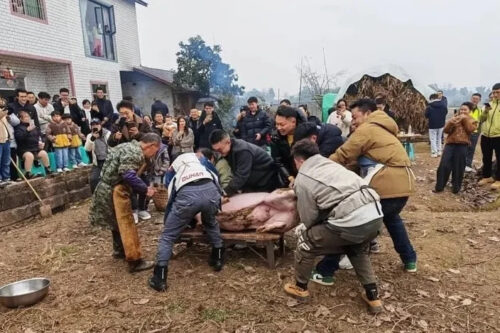 A feast in exchange for slaughtering 2 pigs: Call for help on social media brings thousands to a Chinese village