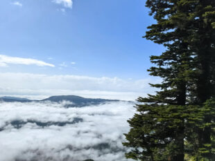 Չնայած սառը օդի լճացմանը՝ Արարատյան դաշտում եղանակը կտաքանա