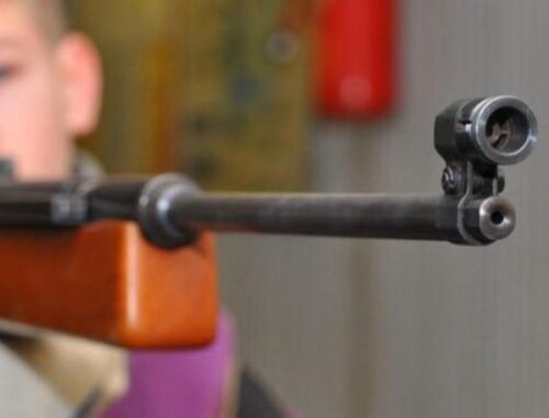 В одном из сел Армавирской области 11-летний ребенок случайно выстрелил своему 8-летнему брату в лоб из винтовки отца